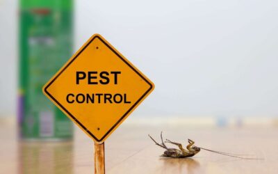 Pest Control