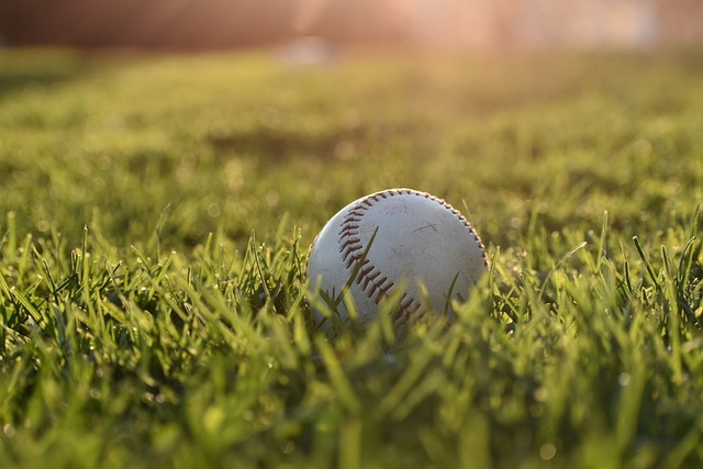 eugene emeralds,baseball,club,milb